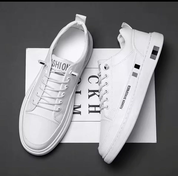 gid://shopify/MediaImage/25707778211910